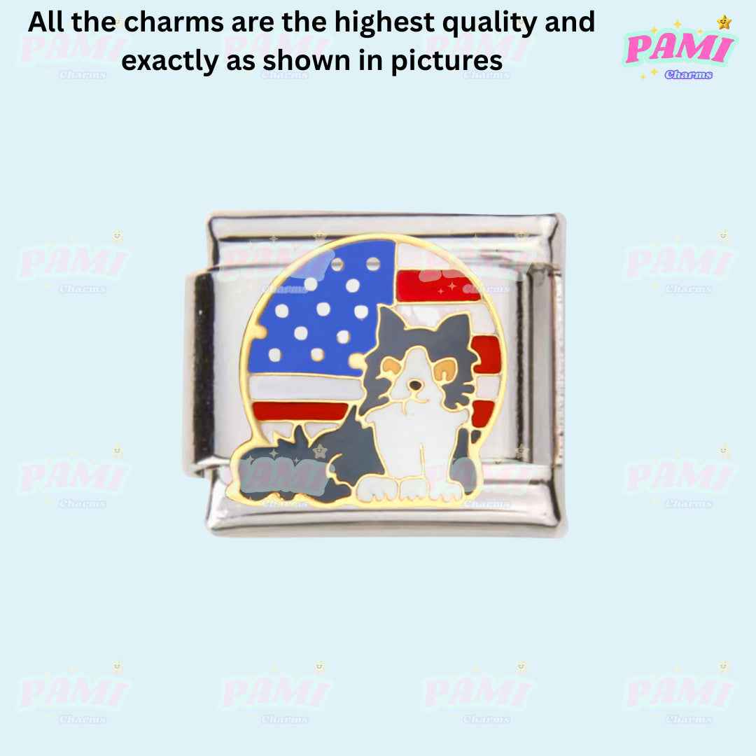 Pami Charms italian charms featuring a cat with an American flag background in silver-tone metal