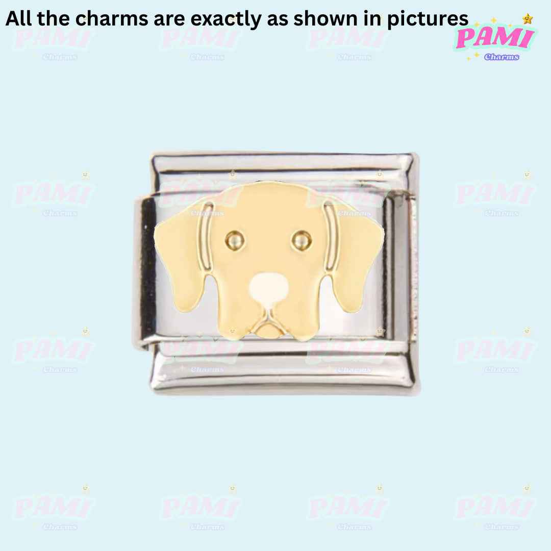 Pami Charms Italian charms featuring a silver charm with a gold dog face design