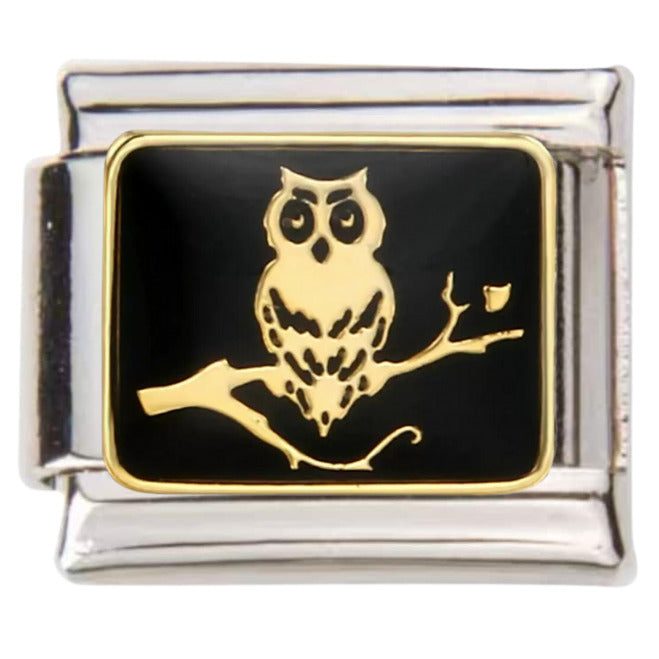 Pami Charms Italian charms with gold owl design on black background and silver frame charm link