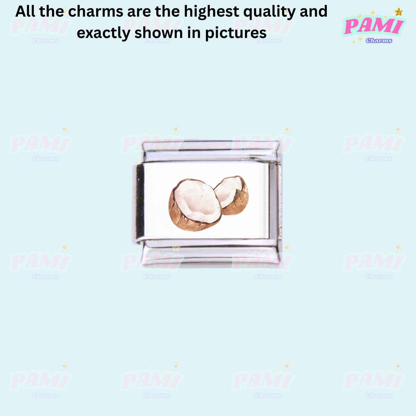 Pami Charms Italian charms featuring a detailed coconut design in high-quality stainless steel