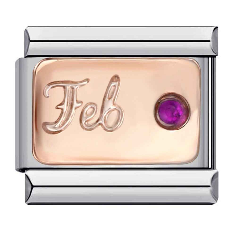 Pami Charms birth stone italian charms birthday February amethyst charm with rose gold and silver finish
