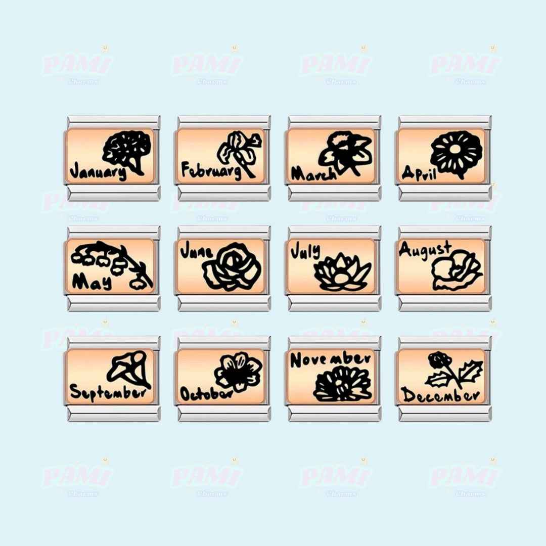 Pami Charms birth month flower italian charms featuring black floral designs for each month on silver links
