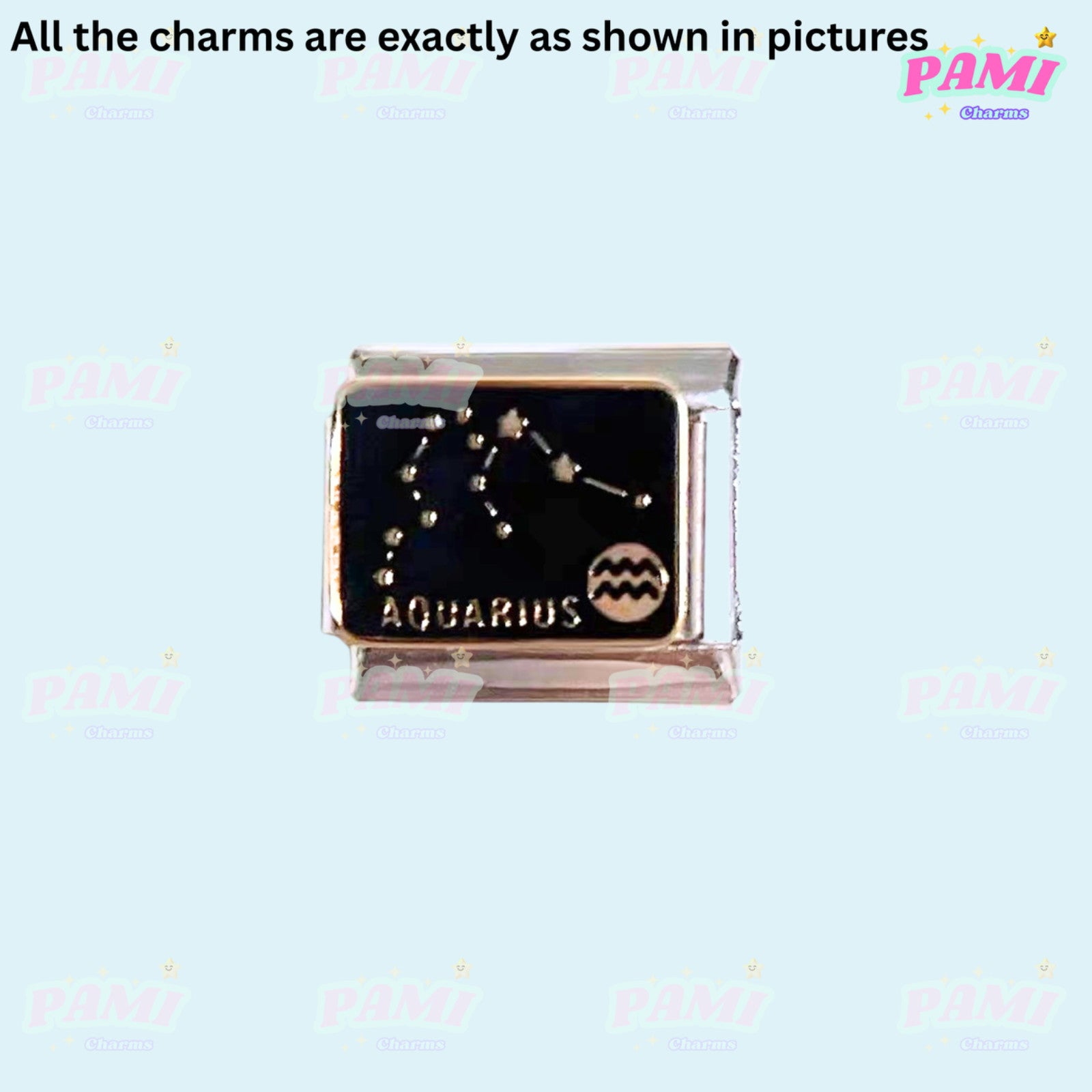 Pami Charms Italian charm featuring the Aquarius zodiac sign in detailed design