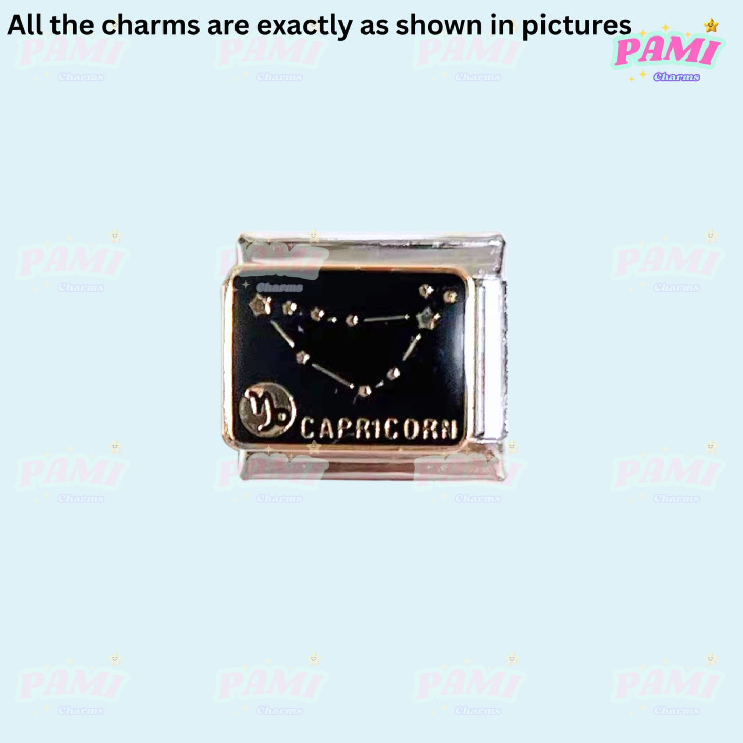 Pami Charms Capricorn Italian charm featuring the Capricorn constellation design on a black background