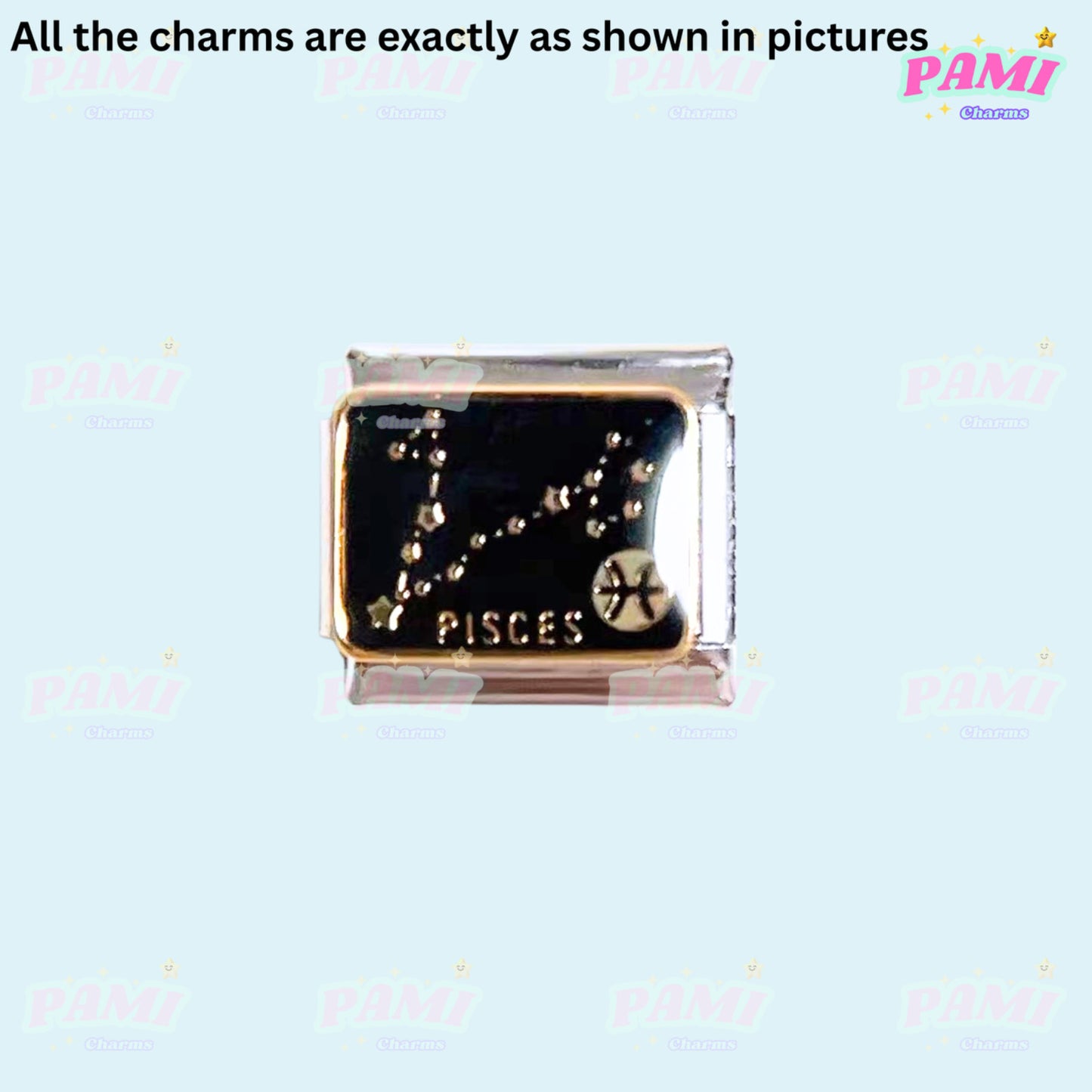 Pami Charms Italian charm featuring the Pisces zodiac sign in silver with a decorative design