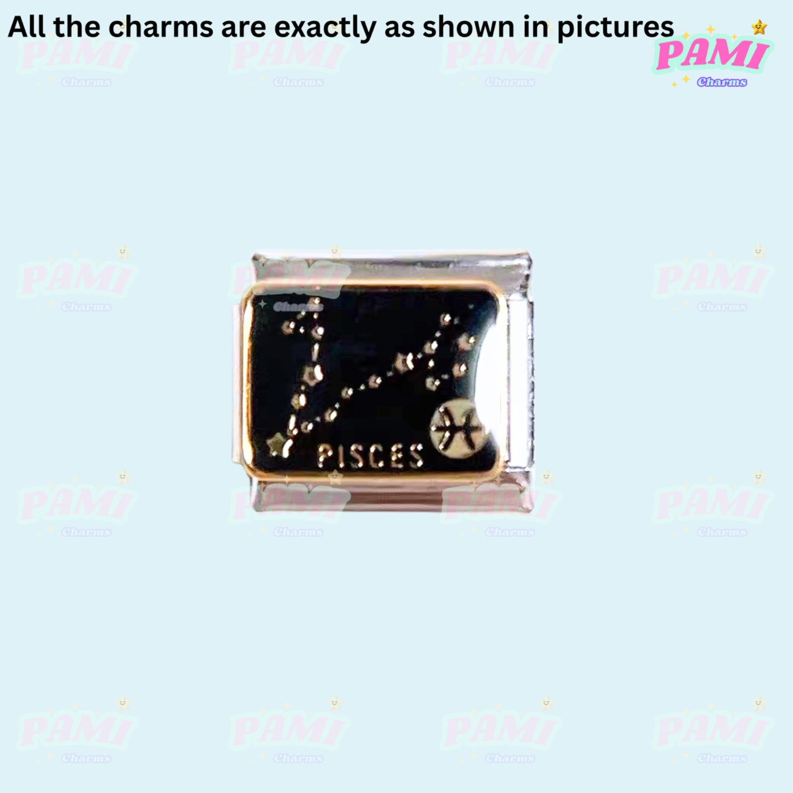 Pami Charms Italian charm featuring the Pisces zodiac sign in silver with a decorative design
