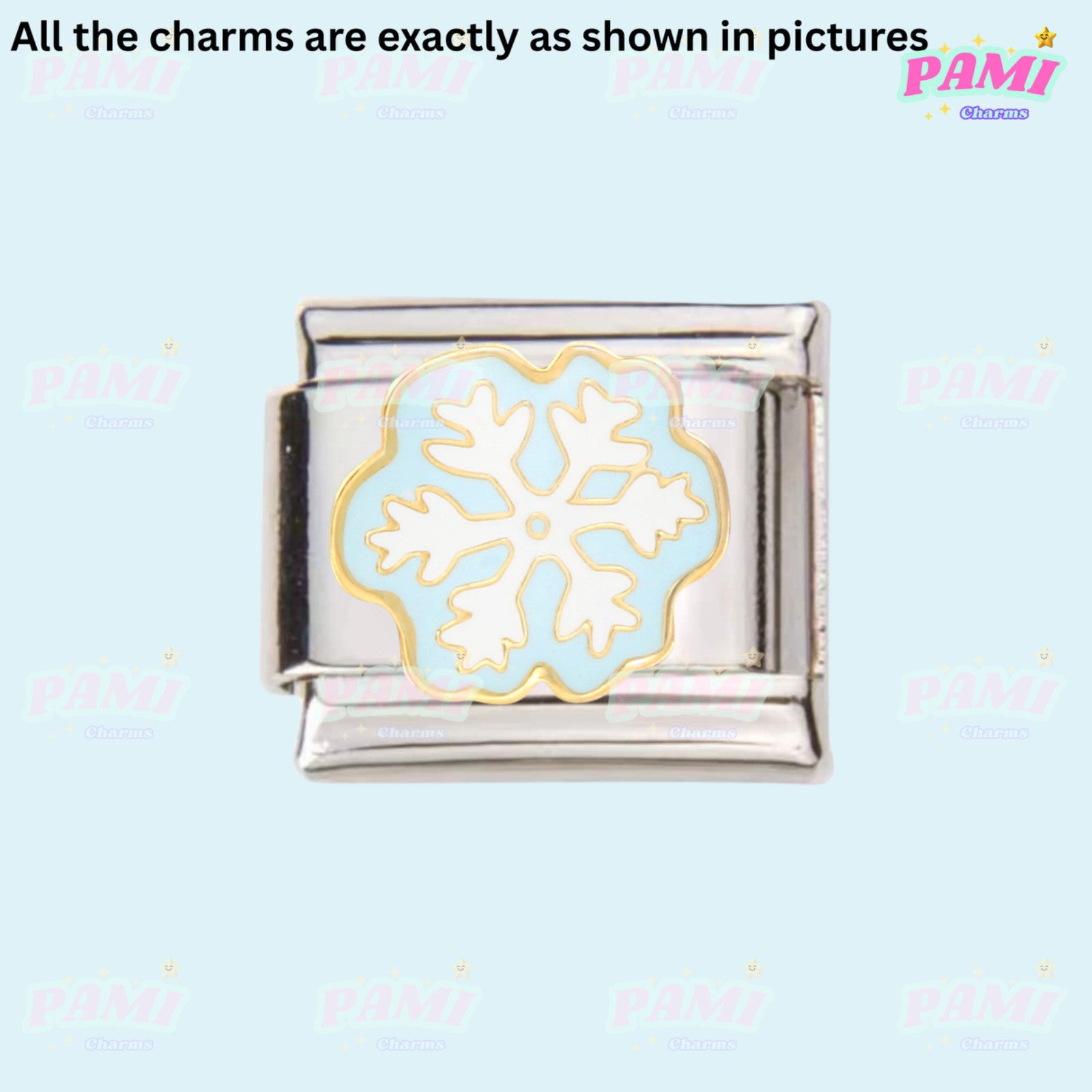 Pami Charms Italian charm featuring a silver snowflake design on a polished background