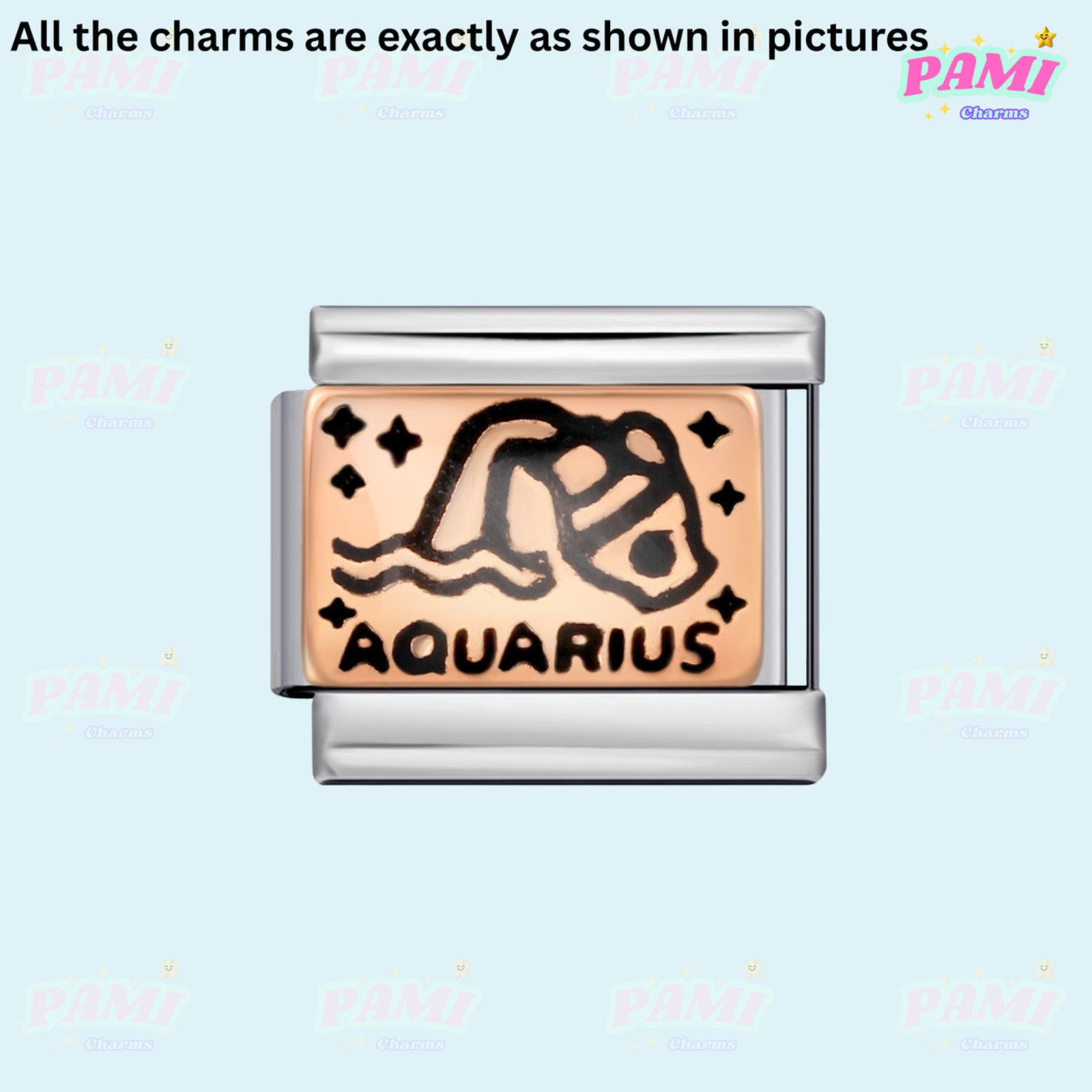 Italian charms featuring the Aquarius symbol in a silver frame for zodiac enthusiasts