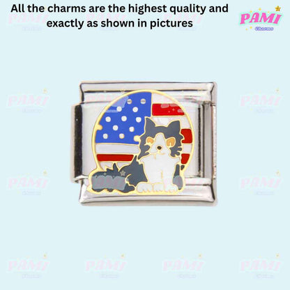 Pami Charms italian charms featuring a cat with an American flag background in silver-tone metal
