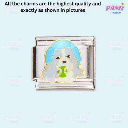 Pami Charms silver Italian charms featuring a dog holding a green ball with blue background