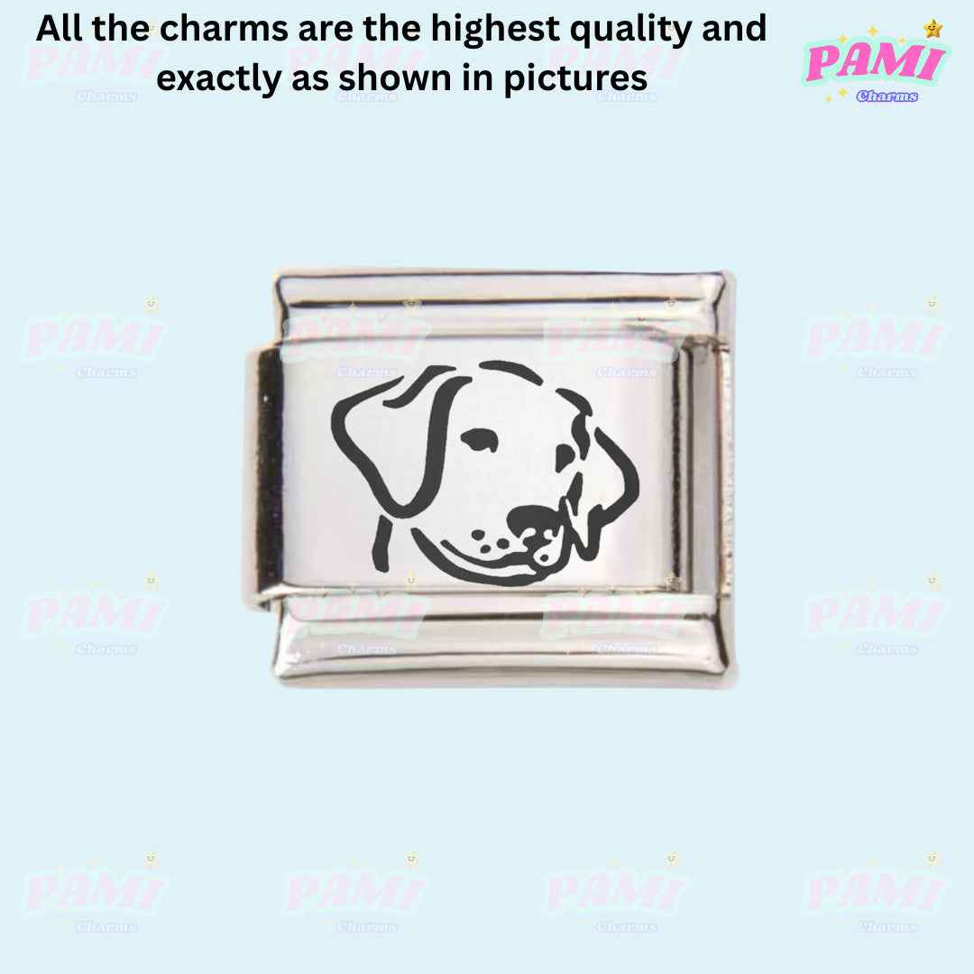 Pami Charms Italian charms featuring a silver link with a dog face design