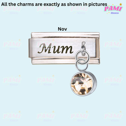 Mum Birthstone 12 Month Modular Italian Charms- Fits all classic 9mm bracelet 11- November Italian Charm